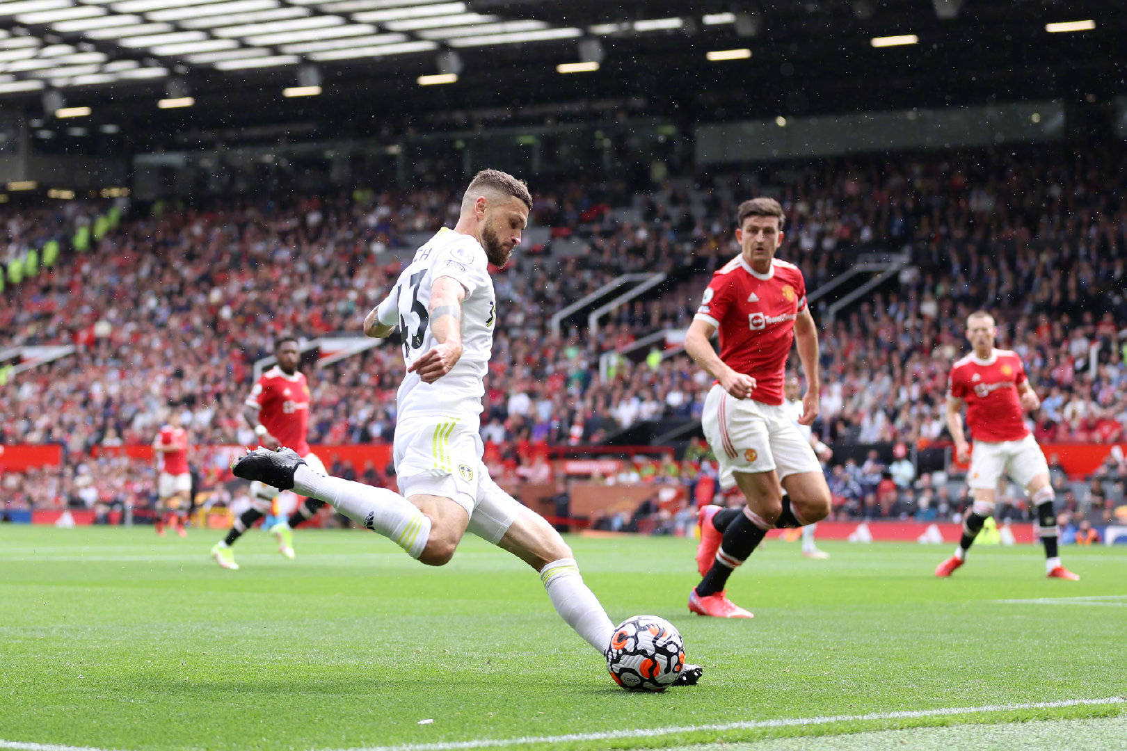 将使潜在自 将使潜在自